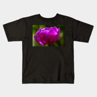 Tulip In Sunlight Kids T-Shirt